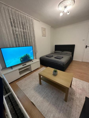Spacious Private Room in the heart of Dalston, Hackney